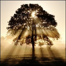 Western Australia 2 community legal services justice legal aid counselling legal advice